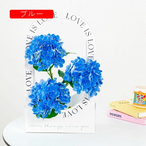 3{ AWTC  ԑ CeA ͂Ȃ Mtg v[g A[gt[  X/iX p[eB[ rO K[fjO Q  p z[ /a ItBX/p[