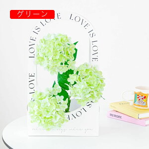 3{ AWTC  ԑ CeA ͂Ȃ Mtg v[g A[gt[  X/iX p[eB[ rO K[fjO Q  p z[ /a ItBX/p[