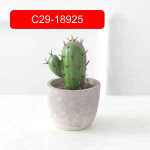 T{e~  CeA ~j A  k tFCNO[  INS lHϗtA  e[u ΂̐A u Vzj a ] v[g