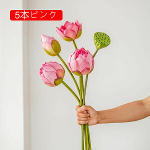  @̉ tFCNt[ VNt[ sv ͂Ȃ A[gt[ t[AW A  rO  d e[u DIY CeA  ԑ u[P B