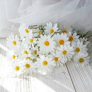  CeA J~[ fCW[ ͂Ȃ A[gt[ ̓v[g Mtg 킢 j   X p[eB[ ԑ iX lHϗtA a  蕨