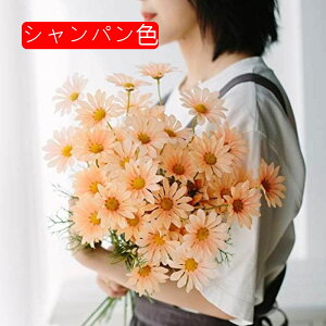  CeA J~[ fCW[ ͂Ȃ A[gt[ ̓v[g Mtg 킢 j   X p[eB[ ԑ iX lHϗtA a  蕨