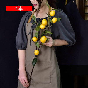 tFCNt[   CeA A[gt[ ͂Ȃ ԑ A tFCN̎} LC u  z[ rO fR[V Be   v[