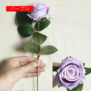 [Y  tFCNt[ ỏԑ u[P ͂Ȃ Y }eBbN A[gt[ CeA LO o^C v[g j rO  EGfBO  