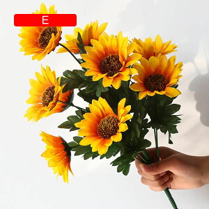  Ђ܂  ϗtA ƒ/rO/|[`/_CjOe[u/z[/EFfBO/p[eB[/ItBX/Q/zep tFCNt[  lHA zj ̓ v