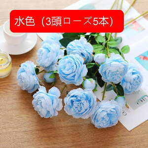 5{Zbg  [Y tFCNt[ ỏԑ u[P ͂Ȃ Y }eBbN A[gt[ CeA LO o^C v[g j rO  EGfB