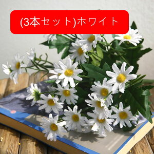 3{Zbg  fCW[ tFCN fCW[̉ԑ u[P c ͂Ȃ bsv A[gt[ CeA v[g j rO sNjbN e[u   AW 