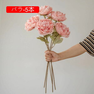 O  CeA tFCNt[ VNt[ sv ͂Ȃ A[gt[ t[AW k A  ƒ둕 DIY ԑ u[P Be X܏ EFfB