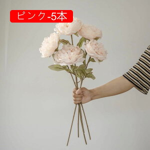 O  CeA tFCNt[ VNt[ sv ͂Ȃ A[gt[ t[AW k A  ƒ둕 DIY ԑ u[P Be X܏ EFfB