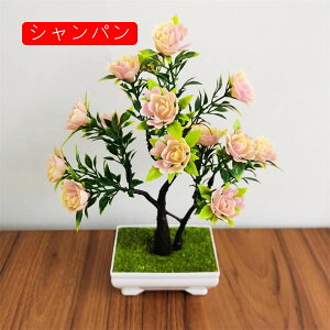 ԃZbg [Y  tFCNt[ o A ~ c LC JXj  CeA Xܑ Vj  x_ e[u u  Be