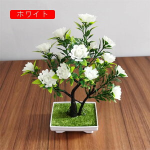 ԃZbg [Y  tFCNt[ o A ~ c LC JXj  CeA Xܑ Vj  x_ e[u u  Be