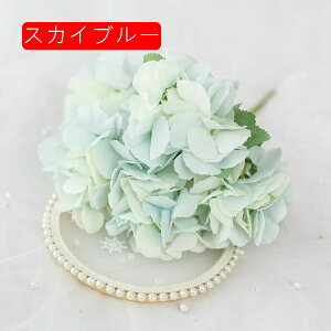  CeA AWTC 1{ XJCu[ ͂Ȃ A[gt[ ̓v[g Mtg 킢 j   X iX  p[eB[ a ԑ 蕨̉ lH