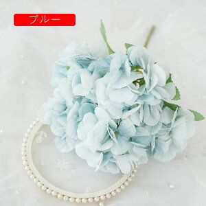  CeA AWTC 1{ XJCu[ ͂Ȃ A[gt[ ̓v[g Mtg 킢 j   X iX  p[eB[ a ԑ 蕨̉ lH