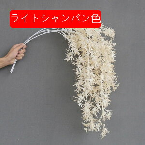  CeA  ɘCg ͂Ȃ A[gt[ ̓v[g Mtg 킢 j   X iX  p[eB[ a ԑ 蕨̉ lHϗtA