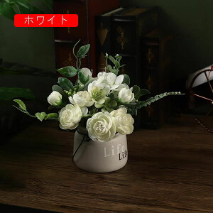 k  CeA  ԕrt A tFCNt[ ItBX iX X  ԃZbg ͂Ȃ bsv rO///Q Vz ސE 蕨 v[g