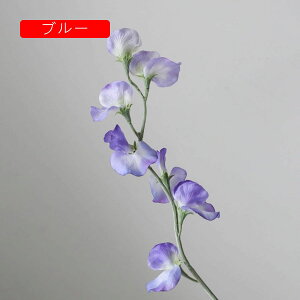  GhẺ A[gt[ lH ͂Ȃ tFCNt[ CeA k I[ig AW  u p[eB[  EFfBO fR[V j v