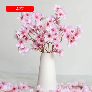  ԃu[P 4{Zbg lH ̉ ԑ t̉ }`bNȕ͋C VN̉ ͂Ȃ Ԍ   ԗ ̓  p[eB[ Be