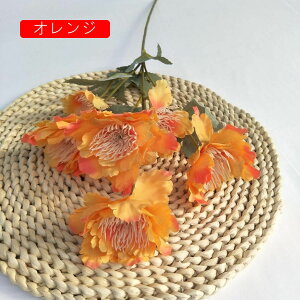 A[gt[  O ͂Ȃ ڂԑ A tFCNt[ 2{Zbg u[P FI   u CeA k   iX p[eB[  v[