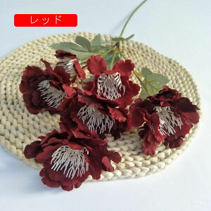 A[gt[  O ͂Ȃ ڂԑ A tFCNt[ 2{Zbg u[P FI   u CeA k   iX p[eB[  v[