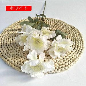 A[gt[  O ͂Ȃ ڂԑ A tFCNt[ 2{Zbg u[P FI   u CeA k   iX p[eB[  v[