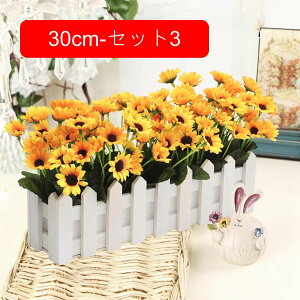 ԃZbg Ԃ̉ԑ lHϗtA LC tFCNt[ lH ͂Ȃ CeA rO O  ʐ^Be Vj JXj v[g