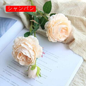  5{ EGX^[Yt[ O VpzCg CeA A[gt[ ԑ v[g Mtg 蕨 JXj a    EFfBO u[P