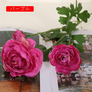 A[gt[ KN  ͂Ȃ CeA oԑ I[ig t[ k EFfBOu[P ] _CjO//iX//p[eB[ ꂢ  A 