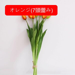 `[bv  CeA tFCNt[ ԑ ͂Ȃ Y PU tFCNt[ A[gt[ EFfBOu[P ] ސE  v[g j er e[u 