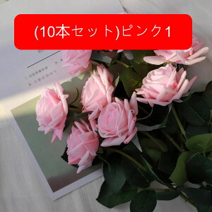  [Y tFCN ỏԑ u[P ͂Ȃ bsv A[gt[ CeA LO ސE ̓ hV̓ v[g j rO EGfBO   AW I