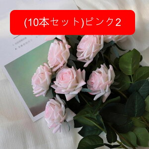  [Y tFCN ỏԑ u[P ͂Ȃ bsv A[gt[ CeA LO ސE ̓ hV̓ v[g j rO EGfBO   AW I