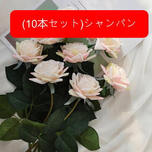  [Y tFCN ỏԑ u[P ͂Ȃ bsv A[gt[ CeA LO ސE ̓ hV̓ v[g j rO EGfBO   AW I