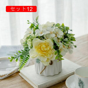 ԃZbg [Y Ԃ̉ԑ k  LC tFCNt[ u[P ͂Ȃ CeA rO ItBX   ʐ^Be Vj JXj ̓ v[g