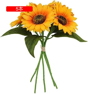  Ђ܂  ԑ 5 5{ lHϗtA u[P ͂Ȃ bsv ʐ^Be j v[g  Ԍ|p  a LO 