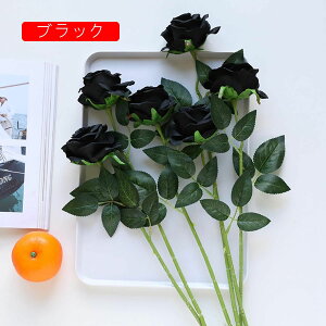  CeA o KN 5{  ͂Ȃ A[gt[ ̓v[g Mtg 킢 j   X iX  p[eB[ a ԑ 蕨̉ lHϗtA