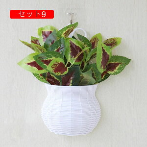  CeA Ǌ| k tFCNt[ ԑ A[gt[ ݂艺  lHϗtA  z[  u Vzj a ] Vz  Mtg 蕨 v[