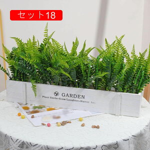 ԃZbg JX~\E Ԃ̉ԑ t lHϗtA LC tFCNt[ u[P ͂Ȃ CeA O ItBX  ʐ^Be  u Vj ̓M