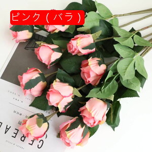  CeA IW1 5{ [Y o KN ͂Ȃ A[gt[ ̓v[g Mtg 킢 j   X iX  p[eB[ a ԑ 蕨̉