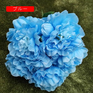 O  CeA A[gt[ ͂Ȃ ڂ ԑ A 51 tFCNt[ Ԃ̂ EFfBO lHԃu[P FI   i u p[eB[/iX/