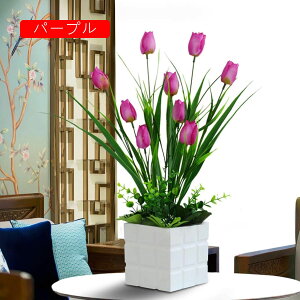 `[bv  CeA  ԃZbg tFCNt[ u[P bsv ͂Ȃ c Y JXj  Vj rO  x_ u  2_Zb