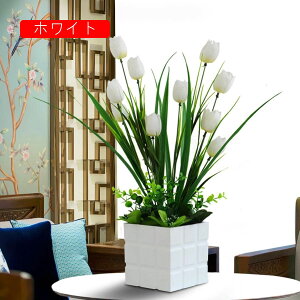 `[bv  CeA  ԃZbg tFCNt[ u[P bsv ͂Ȃ c Y JXj  Vj rO  x_ u 