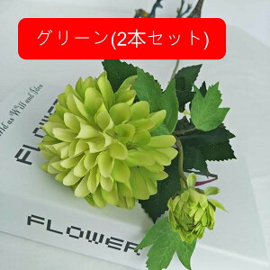  e A[gt[ ͂Ȃ ԑ CeA 1{ t[ {  LC lHAϏ  tFCNt[ u[P 傫  蕨 Vz zj 