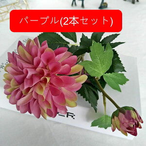  e A[gt[ ͂Ȃ ԑ CeA 1{ t[ {  LC lHAϏ  tFCNt[ u[P 傫  蕨 Vz zj 