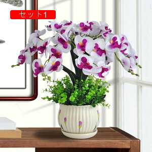  Ӓ Ԃ̉ԑ ԕrt lHϗtA LC tFCNt[ u[P ͂Ȃ CeA rO   ʐ^Be u G Vj JXj ̓ v[