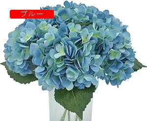  ԍ  CeA ԑ  ͂Ȃ v[g Mtg Ǝ ? a EFfBO  Be p z[ 뉀 Lb` ItBX p[eB[ AWTC tFC