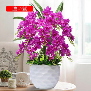 Ӓ  CeA Ԃ̉ԑ t ϗtA LC tFCNt[ u[P ԃZbg ͂Ȃ tFCNO[ rO ItBX ze  u ʐ^Be V