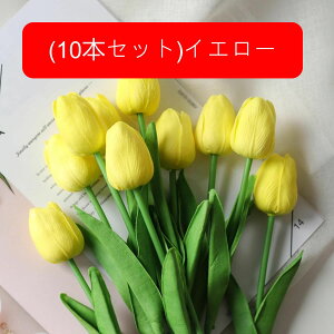 10{Zbg  `[bv tFCNt[ ԑ u[P ͂Ȃ Y ins A[gt[ z̉ CeA LO ̓ v[g j rO sNjbN  