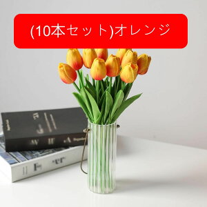 10{Zbg  `[bv tFCNt[ ԑ u[P ͂Ȃ Y ins A[gt[ z̉ CeA LO ̓ v[g j rO sNjbN  