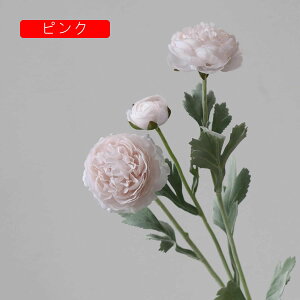  O {^̉ԑ u[P g ͂Ȃ bsv A[gt[ tFCN lH CeA EGfBO e[u AW I[ig Be j v[g 