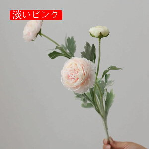  O {^̉ԑ u[P g ͂Ȃ bsv A[gt[ tFCN lH CeA EGfBO e[u AW I[ig Be j v[g 