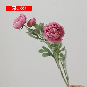  O {^̉ԑ u[P g ͂Ȃ bsv A[gt[ tFCN lH CeA EGfBO e[u AW I[ig Be j v[g 